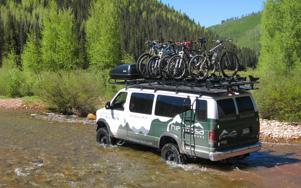 Performance Suspension System